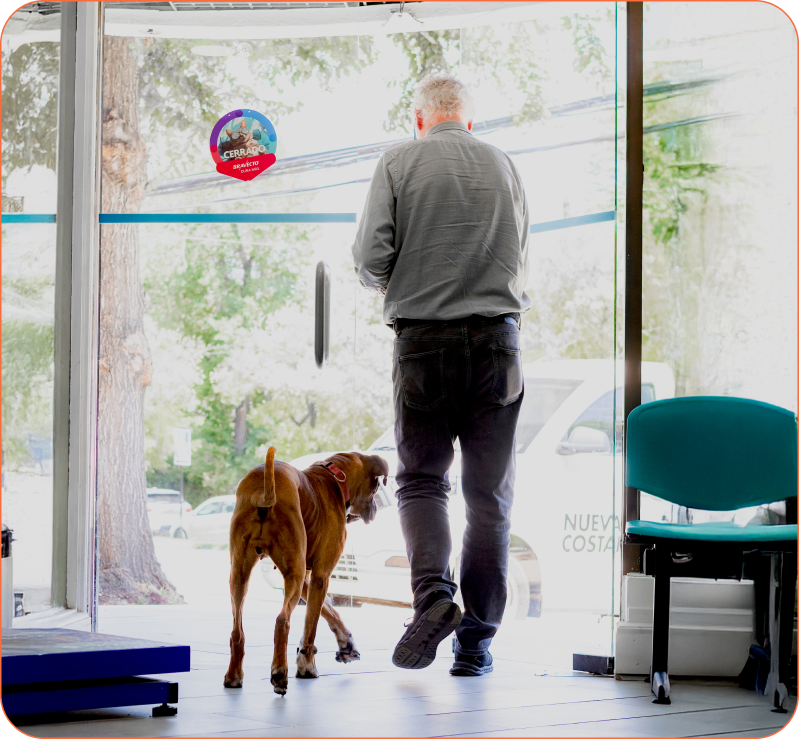 Interior de la clínica con veterinario y perro