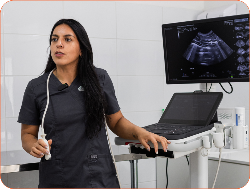 Especialista veterinaria con ecógrafo