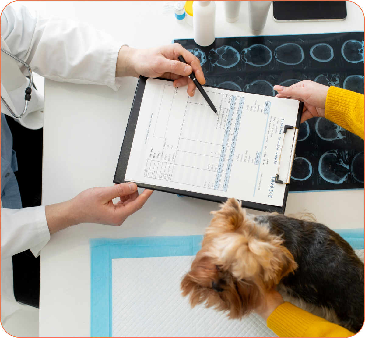 Veterinario explicando a tutor